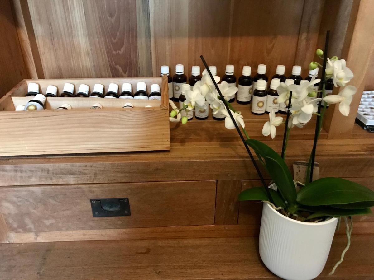 Coeur De Roses, Gite & Chambre D'Hotes Alaigne Dış mekan fotoğraf