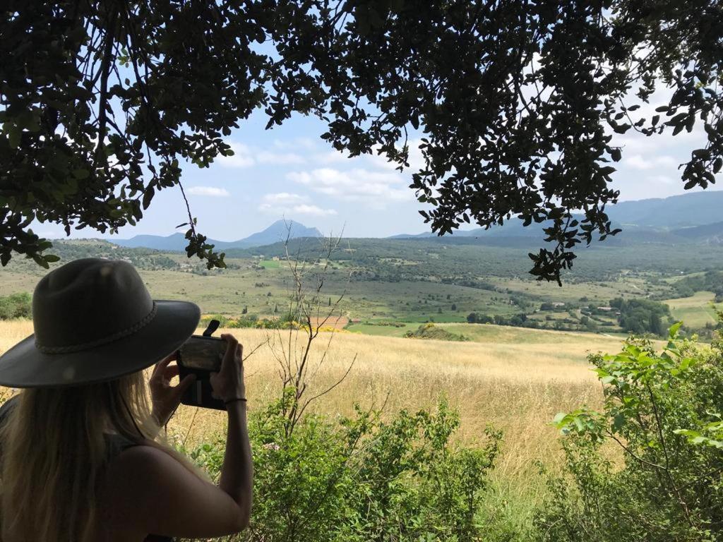Coeur De Roses, Gite & Chambre D'Hotes Alaigne Dış mekan fotoğraf
