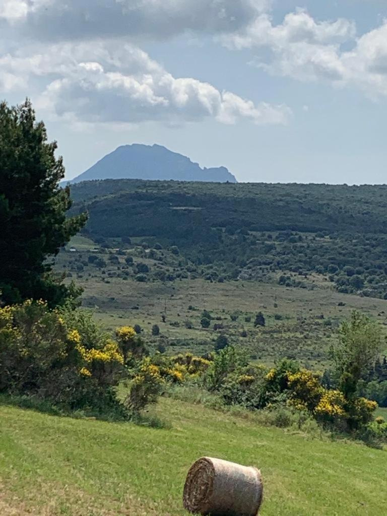 Coeur De Roses, Gite & Chambre D'Hotes Alaigne Dış mekan fotoğraf